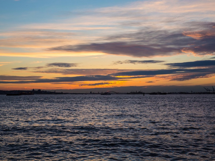 A Brooklyn Neighborhood Guide Discover All Our Borough Has to Offer