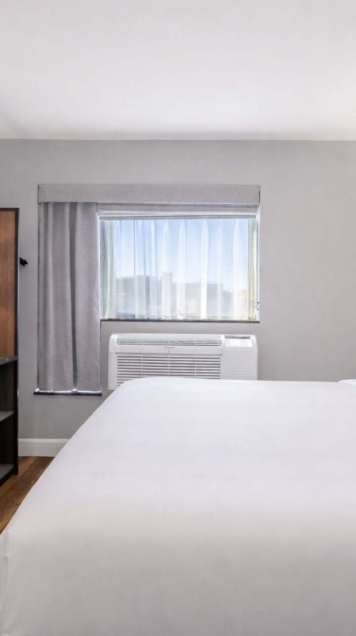 A king bed in a guest room